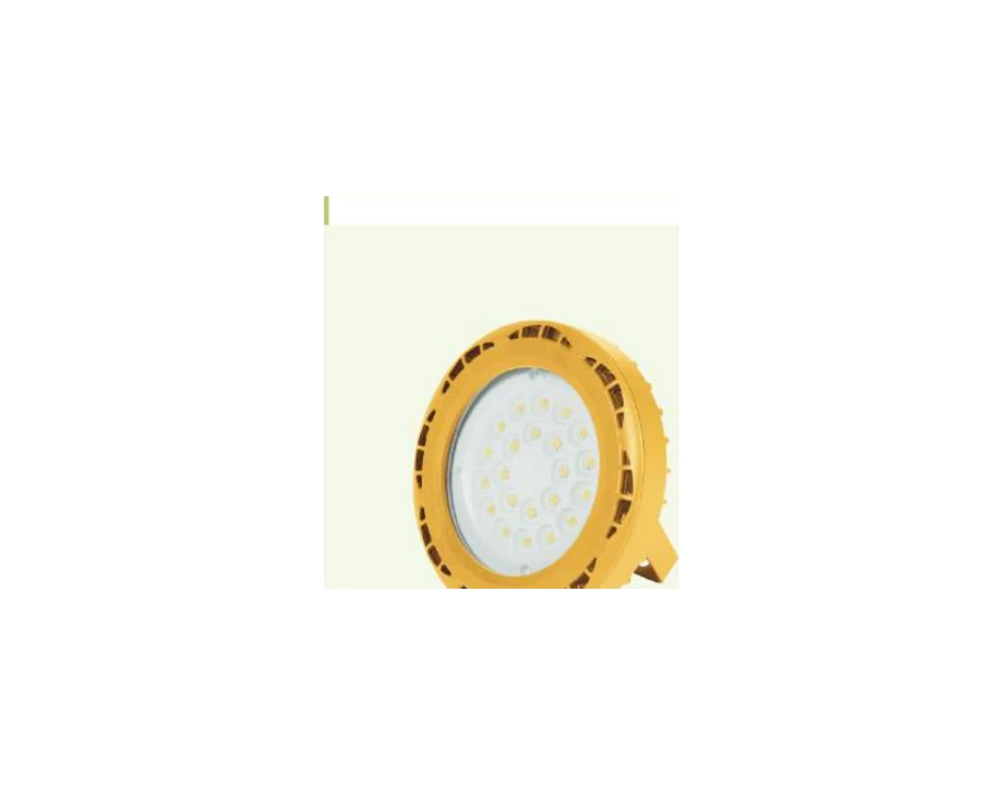 Warom explosion proof lighting supplied by Green Home