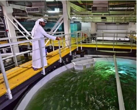 Aquaculture Facility Development reference project image for Green Home Trading Est.